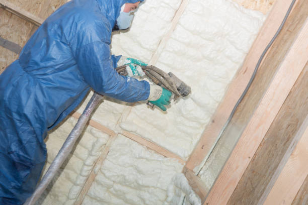 Best Insulation Air Sealing  in Monona, IA